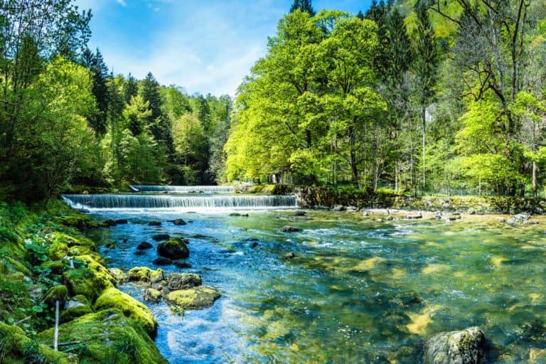 ShareWood Switzerland AG: Schaden für Anleger droht